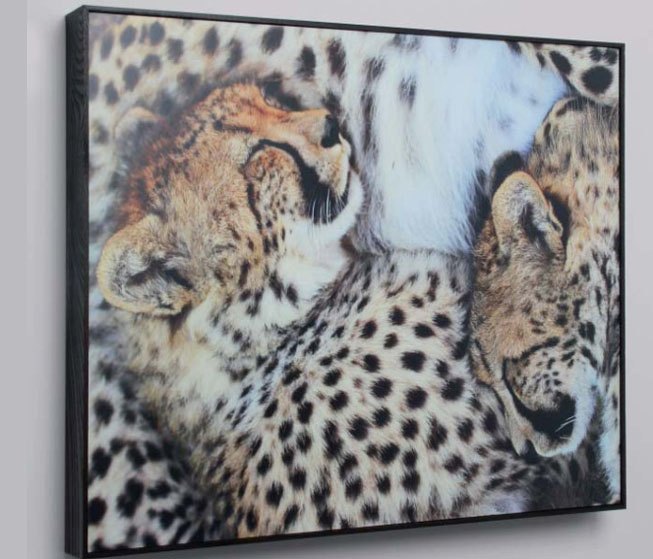 Frames 8 Frames 7 jay rowden photography frames boxed framed print
