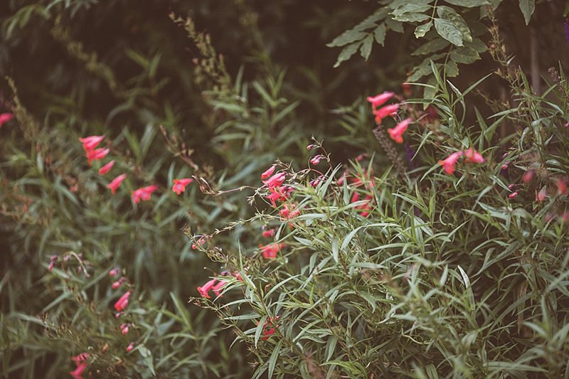 Jay Rowden creative modern wedding reportage photography the rectory crudwell