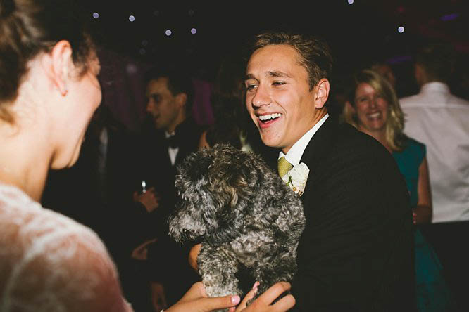 dog at a wedding