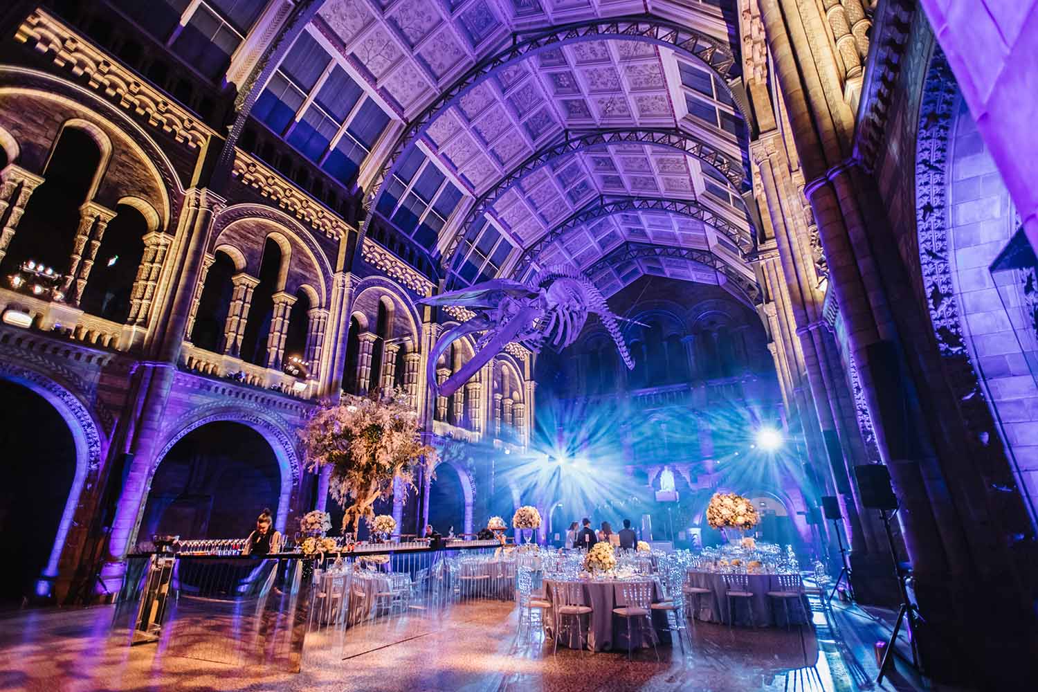 Wedding at The Natural History Museum