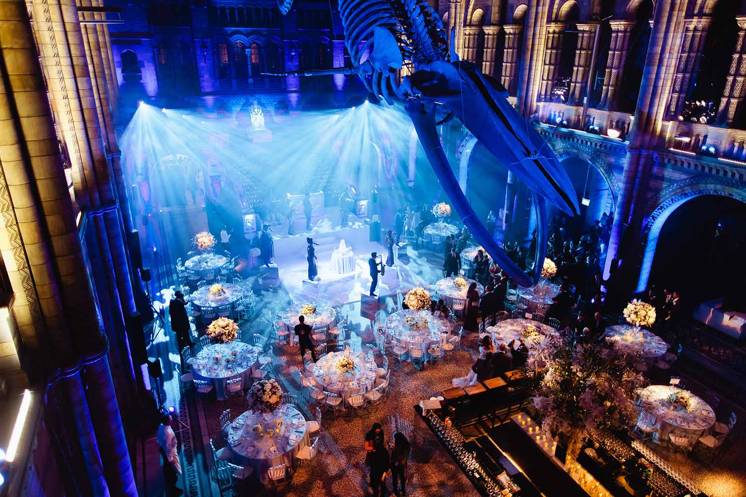 Natural History Museum Wedding, Hintze Hall 