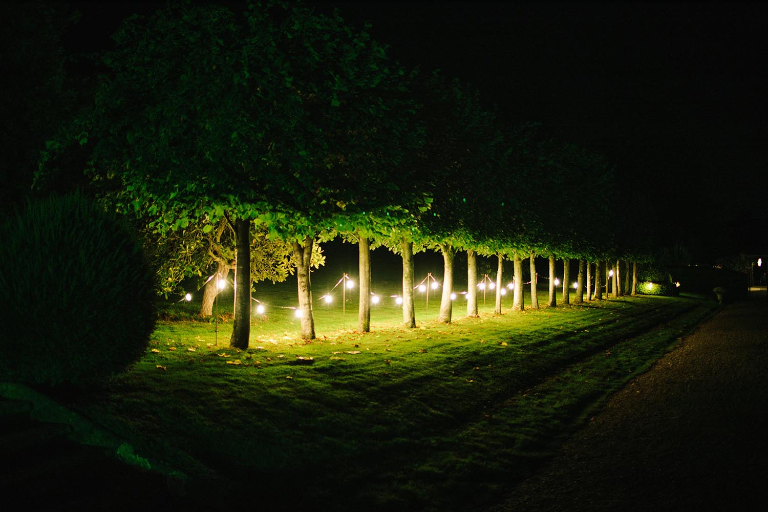 outdoor string light ideas wedding